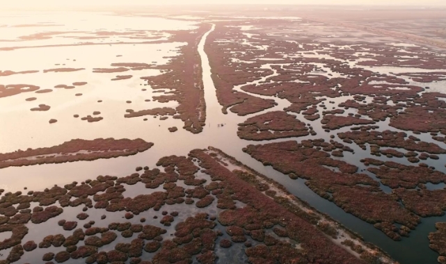 Gediz Havzası'nda kirlilik artıyor!