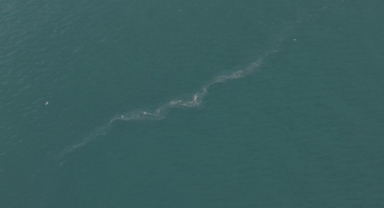 İzmir Körfezi’nde 13. dış kaynaklı kirlilik vakası