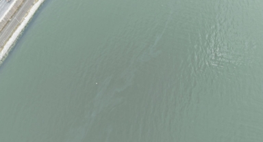 İzmir Körfezi’nde kirlilik alarmı: Aynı tehdit 11. kez görüldü