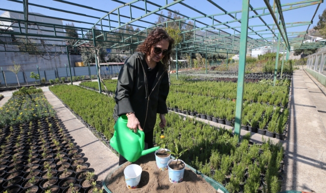 Karşıyaka Belediyesi üretiyor, parklar çiçek açıyor