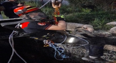 Kuyuya düşen kuzu ekipler tarafından kurtarıldı