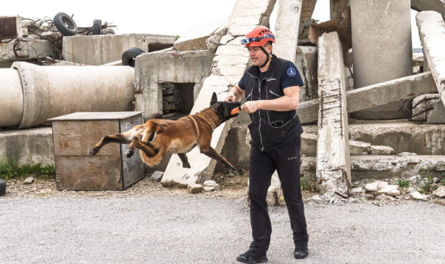 Momo enkaz için eğitiliyor