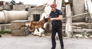 Momo enkaz için eğitiliyor