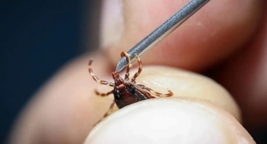 Tokat'ta KKKA teşhisi: 2 kişi hastanelik oldu