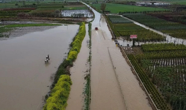 Yağmur sonrasında Ödemiş'te tarım arazileri suya gömüldü!