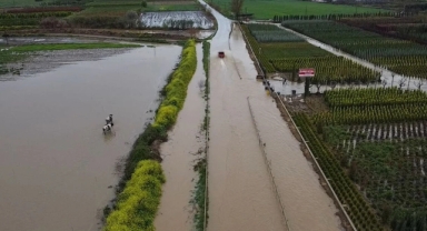Yağmur sonrasında Ödemiş'te tarım arazileri suya gömüldü!