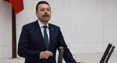 AK Partili Kaya'dan sivrisinek tepkisi: 