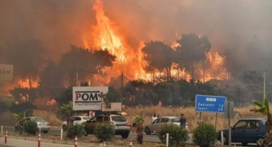 Bakanlıktan acı İzmir bilançosu: Bir yılda 10 bin hektar orman yok oldu!