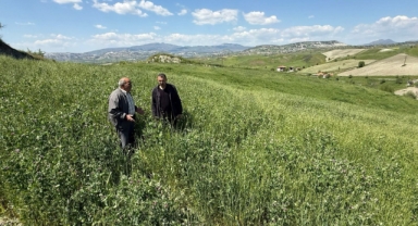 Büyükşehir’in Toprakla Buluşan Tohumları Yeşerdi