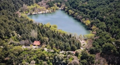Karagöl Muhafaza Ormanı ‘dur’ dedi: Dev RES projesi iptal oldu