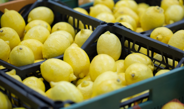 Türkiye’nin limon ihracatı 500 milyon dolar hedefliyor