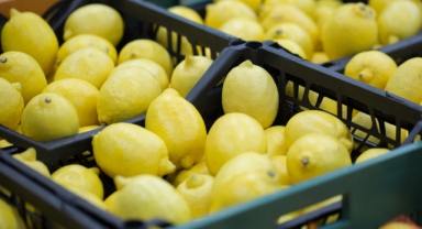Türkiye’nin limon ihracatı 500 milyon dolar hedefliyor