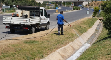 Kemalpaşa'da halk sağlığı için yaz mesaisi