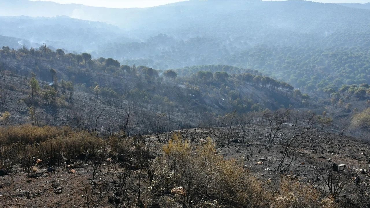 Bakan Yumaklı'dan müjde: Gömeç'teki yangın kontrol altında!