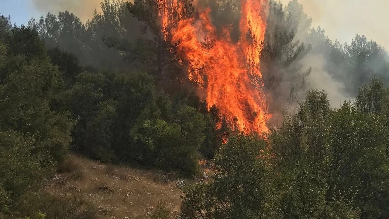 Menteşe'de yangın: Ekiplerin müdahalesi sürüyor!