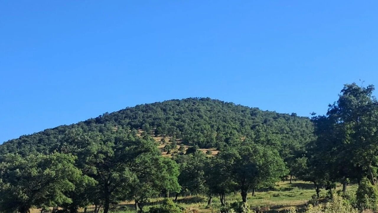 MSB’den Manisa’ya izin çıkmadı, Efkaftepe RES Kınık’a taşındı